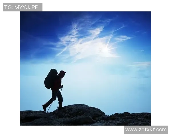 恩佐的成长之路：从初出茅庐到行业翘楚的奋斗历程与启示